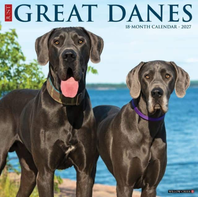 Great Danes 2027 Wall av Willow Creek Press