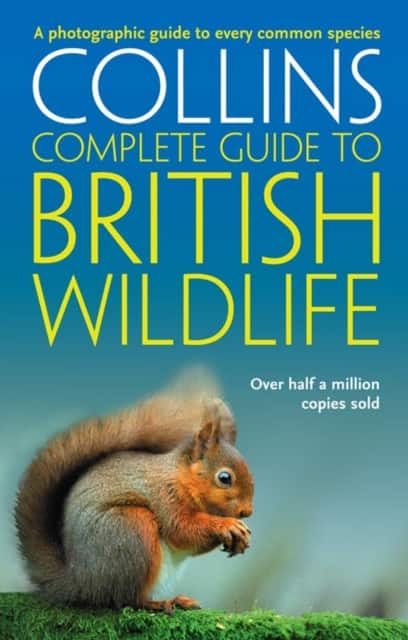 British Wildlife av Paul Sterry