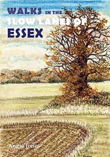 Walks in the Slow Lanes of Essex av Angie Jones