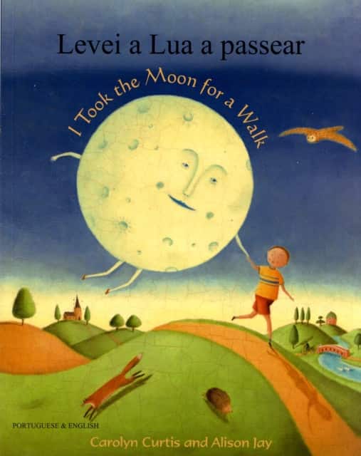 I Took the Moon for a Walk av Alison Jay