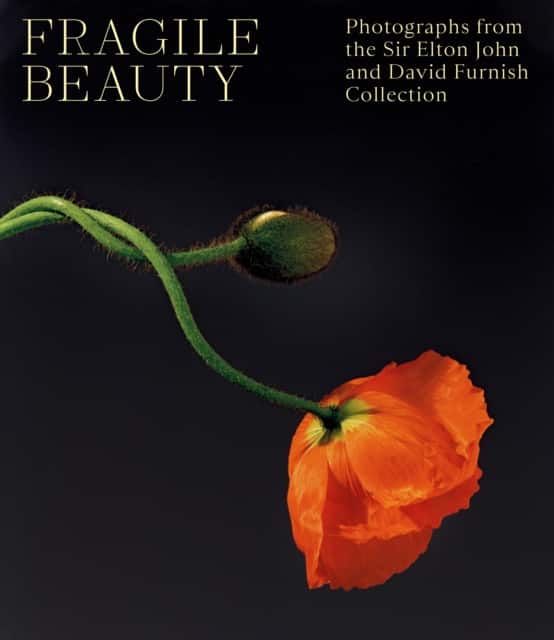 Fragile Beauty av Duncan Forbes