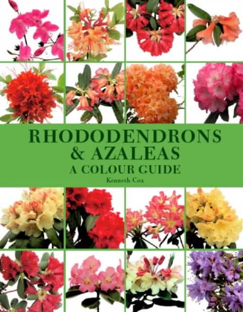 Rhododendrons and Azaleas - A Colour Guide av Kenneth Cox