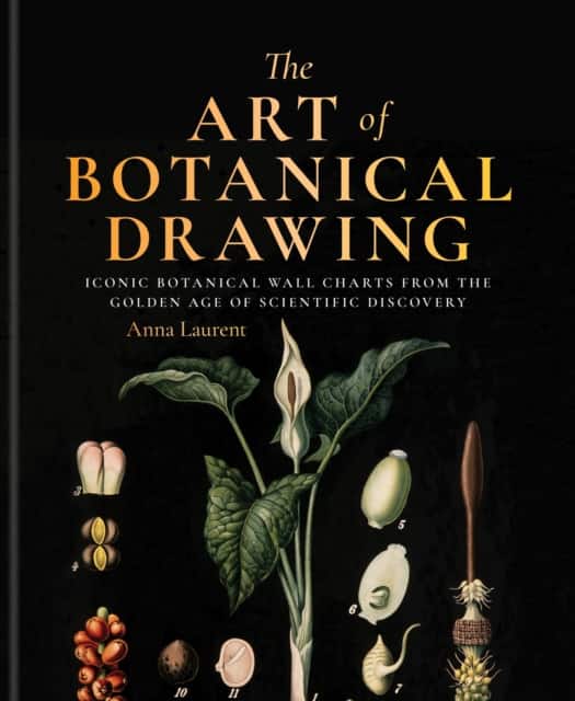 The Art of Botanical Painting av Anna Laurent