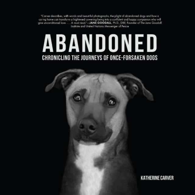 Abandoned av Katherine Carver