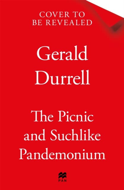 The Picnic and Suchlike Pandemonium