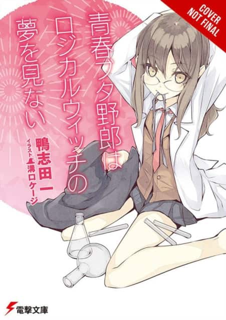 Rascal Does Not Dream of Logical Witch (light novel) av Andrew Cunningham