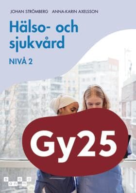 Hälso- och sjukvård, nivå 2