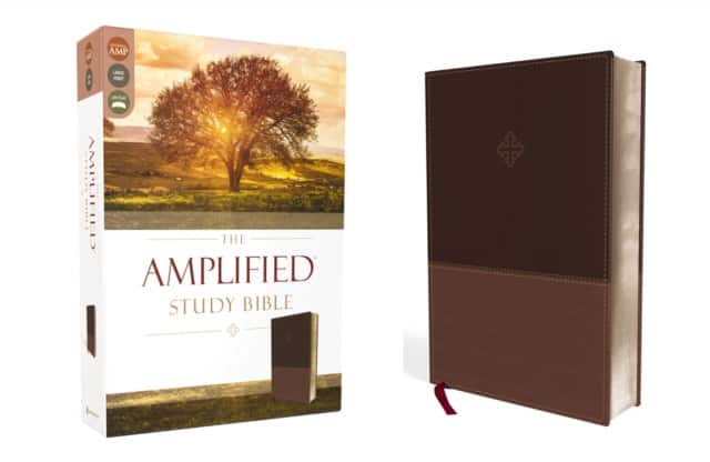 The Amplified Study Bible, Leathersoft, Brown av Zondervan