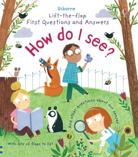 First Questions and Answers: How do I see? av Katie Daynes