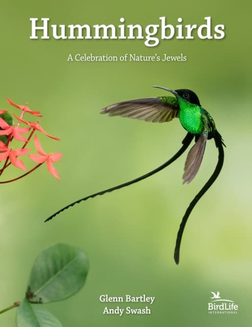 Hummingbirds – A Celebration of Nature′s Jewels