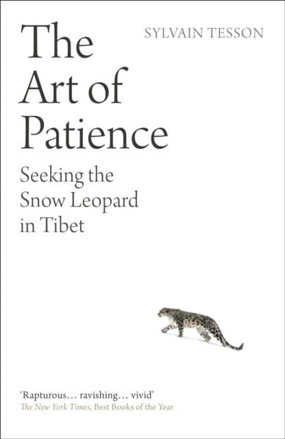 The Art of Patience