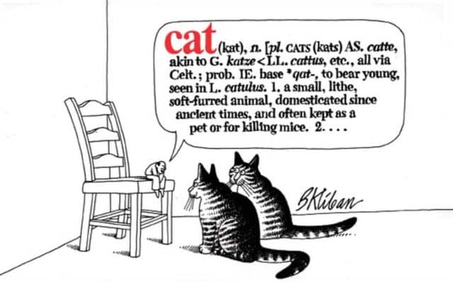 Cat av B. Kliban