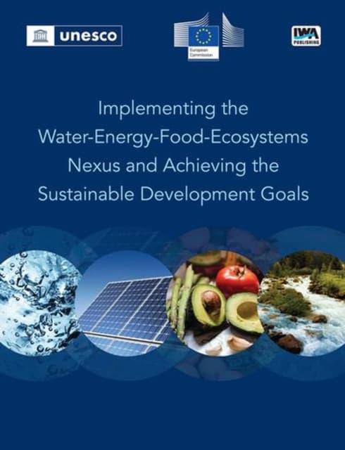 Implementing the Water-energy-food Ecosystems Nexus and Achieving the Sustainable Development Goals
