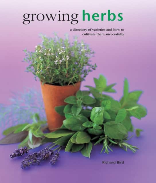 Growing Herbs av Bird Richard