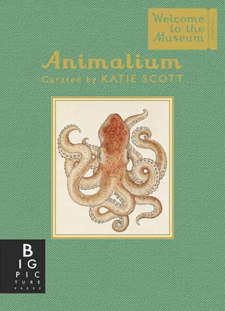 Animalium (Mini Gift Edition) av Jenny Broom