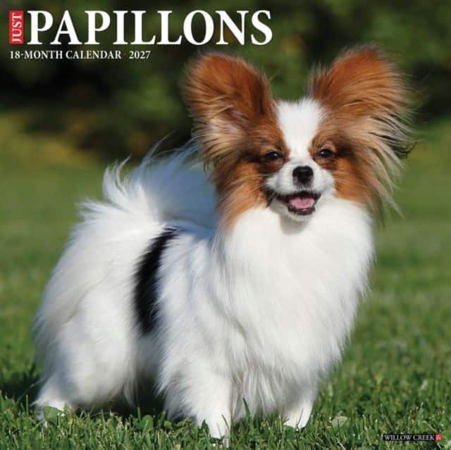 Papillons 2027 Wall av Willow Creek Press