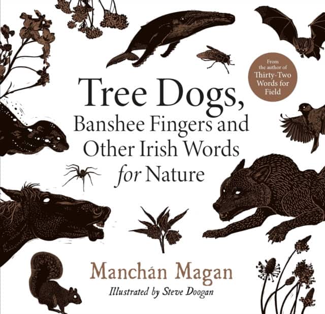 Tree Dogs, Banshee Fingers and Other Irish Words for Nature av Manchán Magan