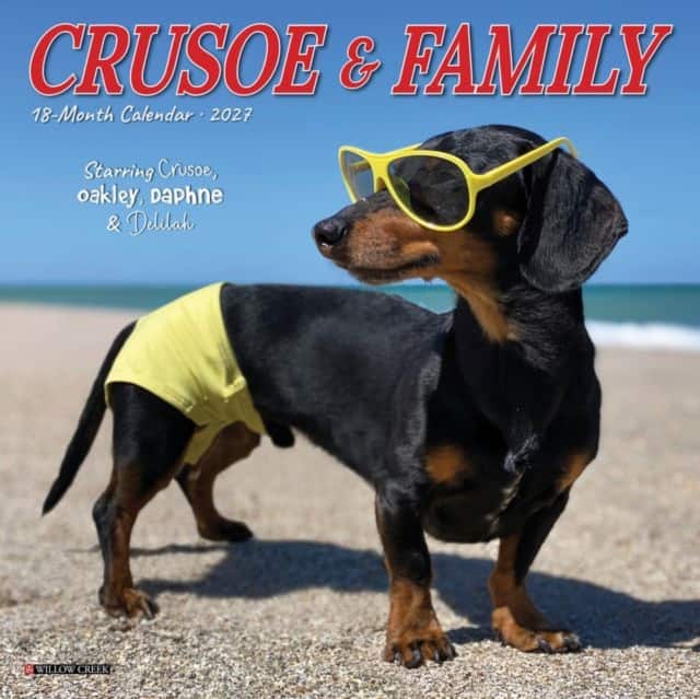 Crusoe & Friends 2027 Mini av Willow Creek Press