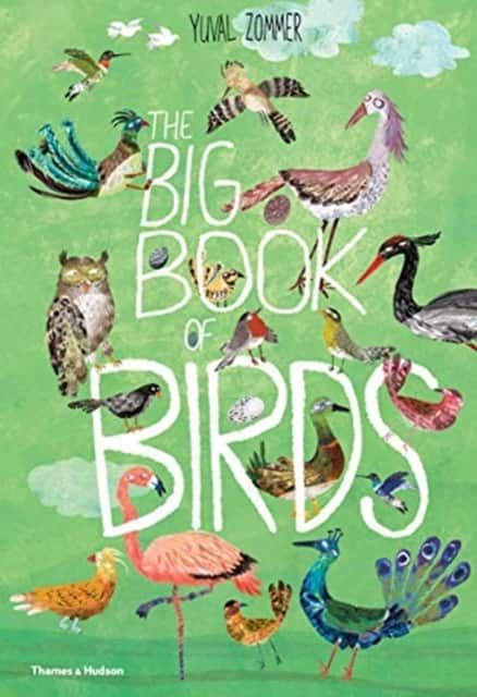 The Big Book of Birds av Yuval Zommer