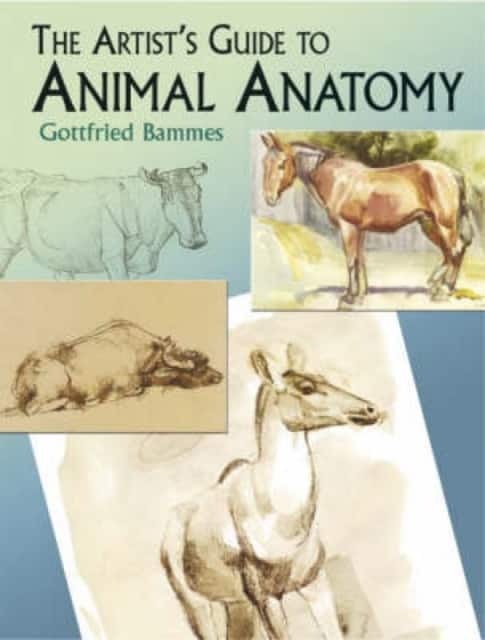 The Artist's Guide To Animal Anatomy av Gottfried Bammes