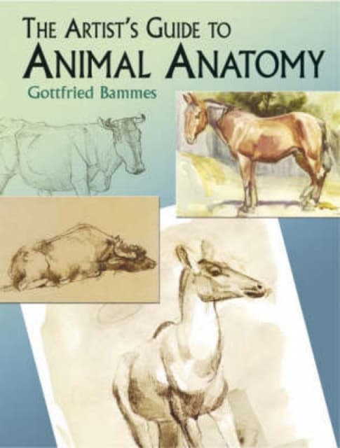 The Artist's Guide To Animal Anatomy