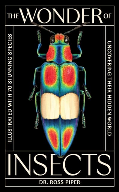 The Wonder of Insects: Uncovering their Hidden World