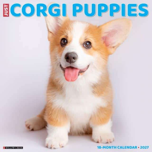 Corgi Puppies 2027 Wall av Willow Creek Press