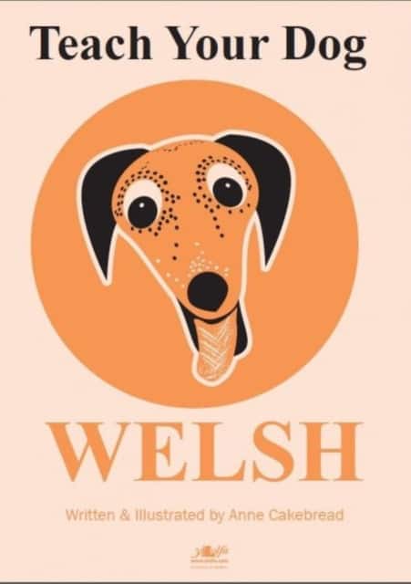 Teach Your Dog Welsh av Anne Cakebread