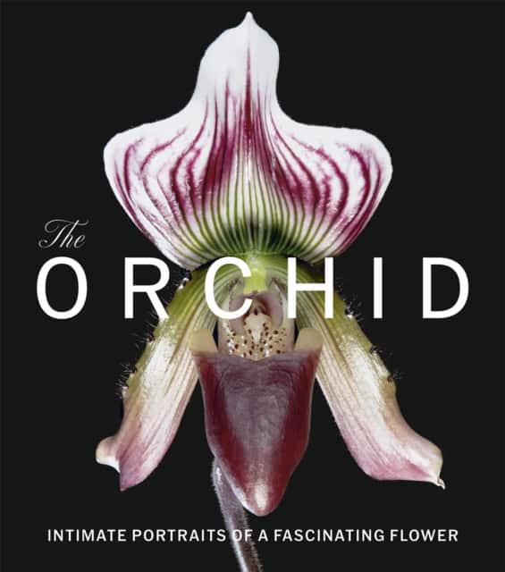 The Orchid av David Berry