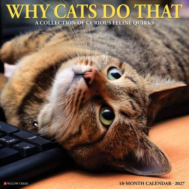Why Cats Do That 2027 Wall av Willow Creek Press
