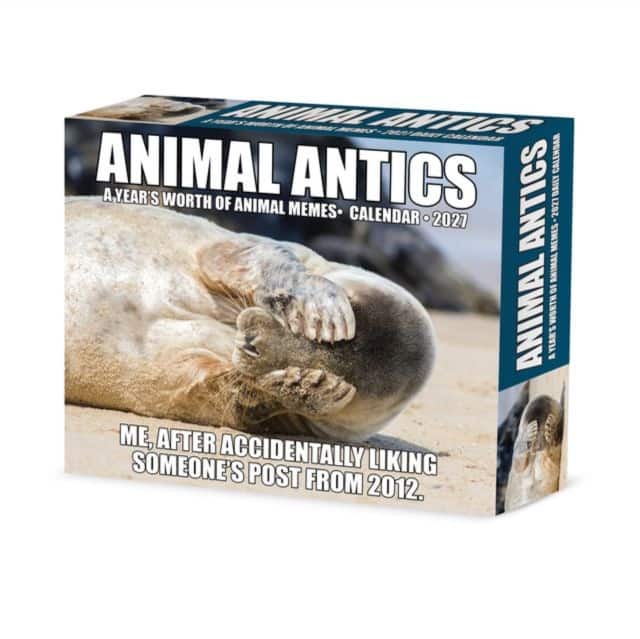Animal Antics 2027 Box av Willow Creek Press