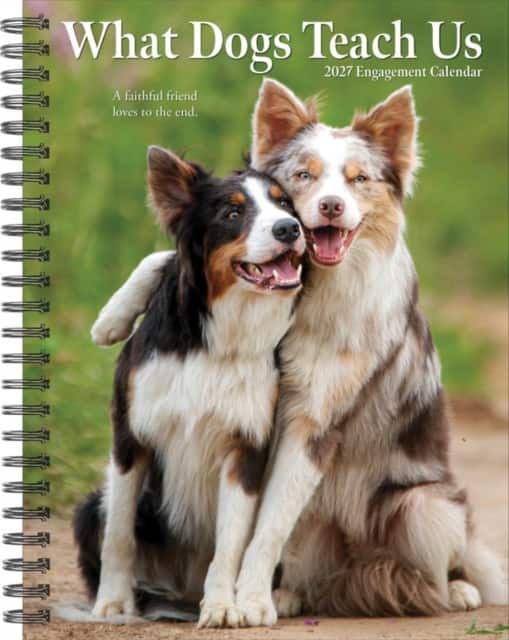 What Dogs Teach Us 2027 Engagement av Willow Creek Press