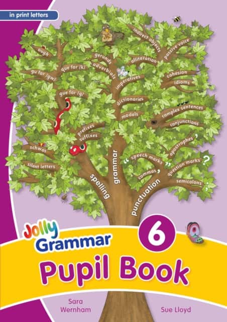 Grammar 6 Pupil Book av Sara Wernham
