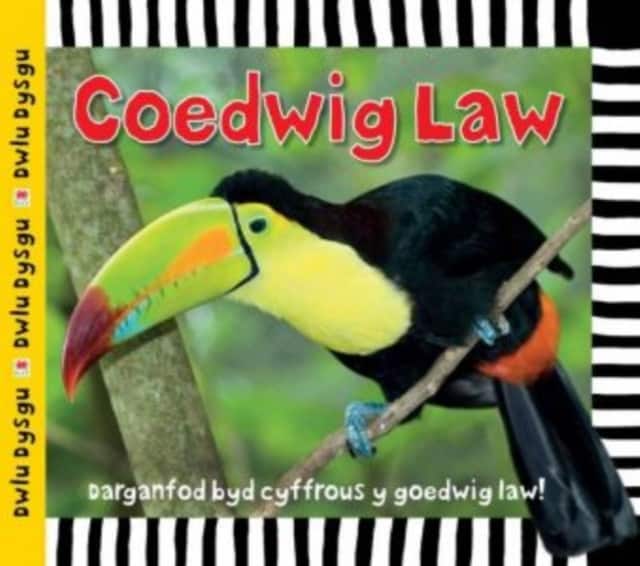 Cyfres Dwlu Dysgu: Coedwig Law av Sarah Powell