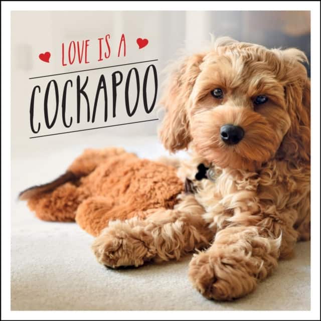 Love is a Cockapoo av Charlie Ellis