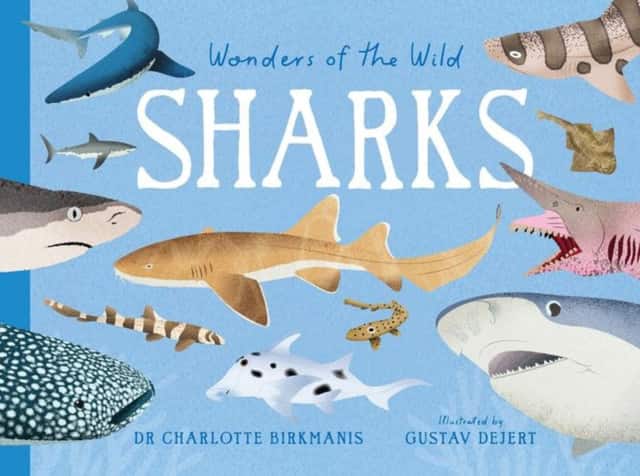 Wonders of the Wild: Sharks av Dr Charlotte Birkmanis