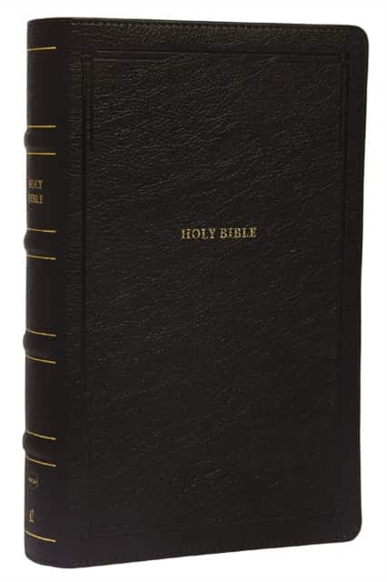 NKJV, End-of-Verse Reference Bible, Personal Size Large Print, Leathersoft, Black, Red Letter, Comfort Print av Thomas Nelson