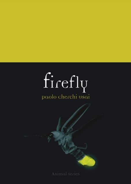 Firefly av Paolo Cherchi Usai
