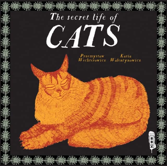 Cat Naps av Przemyslaw Wechterowicz