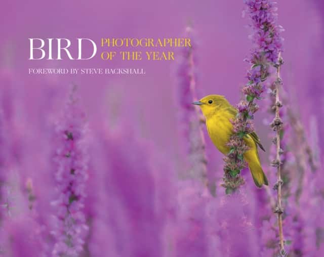 Bird Photographer of the Year av Bird Photographer of the Year