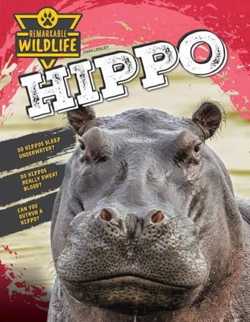Hippo av John Lesley