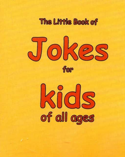 The Little Book of Jokes for Kids of All Ages av Martin Ellis