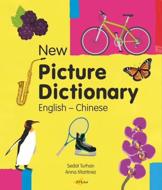 New Picture Dictionary (English-Chinese) av Sedat Turhan
