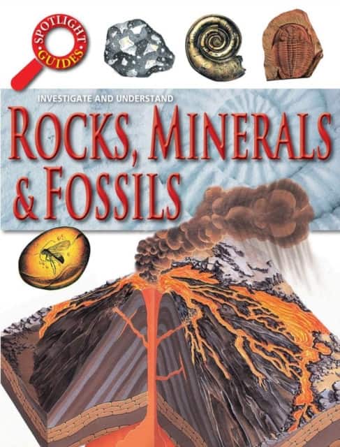 Rocks Minerals and Fossils av Neil Curtis