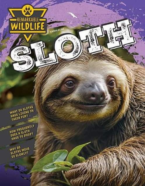 Sloth av Emma Elias