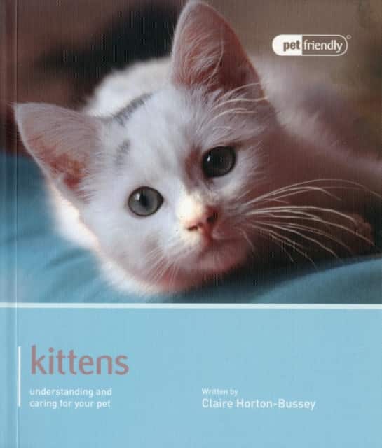 Kitten - Pet Friendly av Claire Hurton Bussey