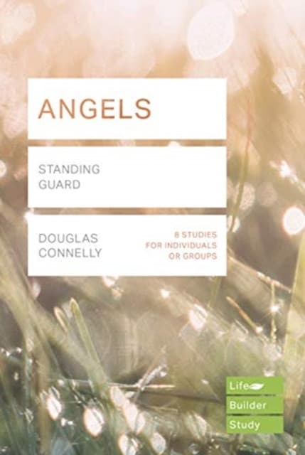 Angels (Lifebuilder Study Guides) – Standing Guard