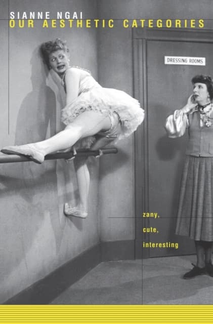 Our Aesthetic Categories – Zany, Cute, Interesting