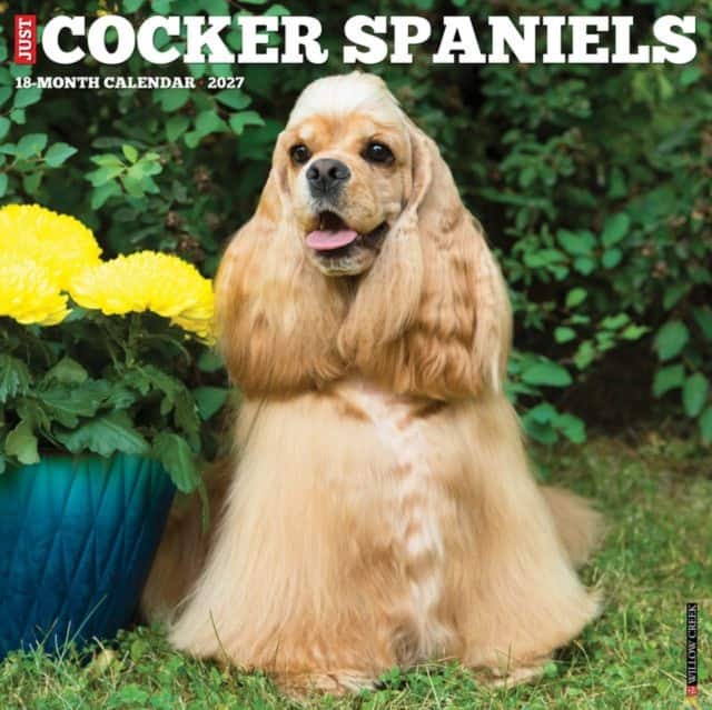 Cocker Spaniels 2027 Wall av Willow Creek Press