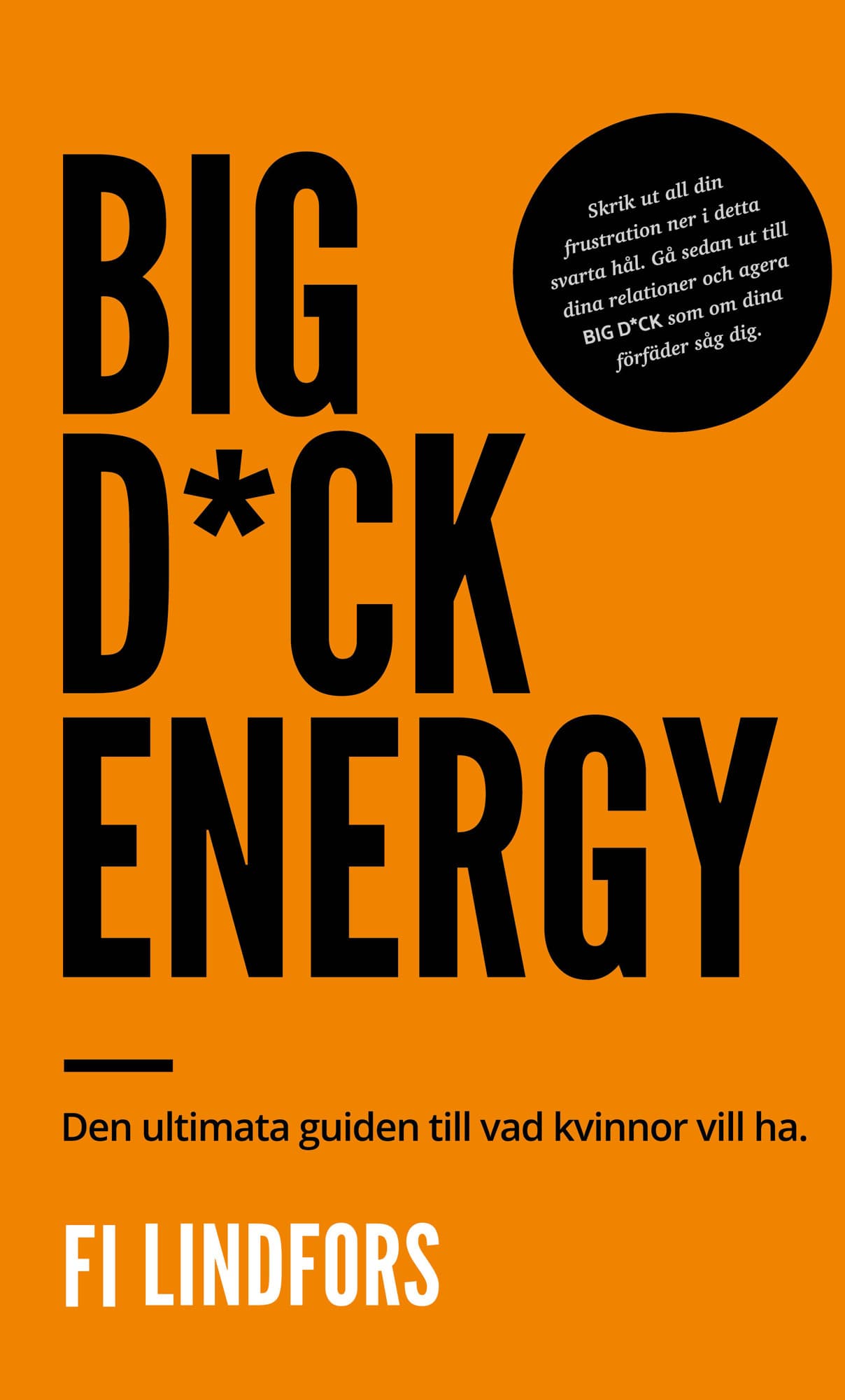 Big Dick Energy : den ultimata guiden till vad kvinnor vill ha